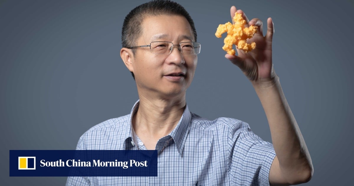 Chinese biologist Chai Jijie cracks plant immune system puzzle