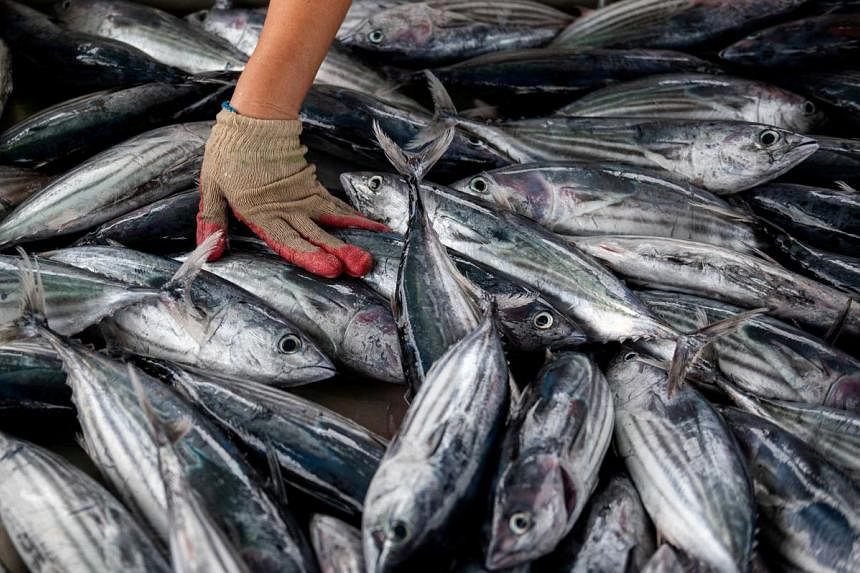 Countries pushing to reach WTO fishing deal next month, documents show