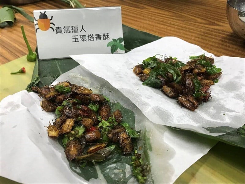 Don't let it bug you: Experts want bigger role for edible insects in Taiwan
