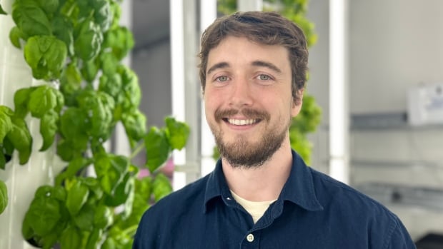 From feeding 'food deserts' to attracting big grocery, indoor farming taking off in N.B.