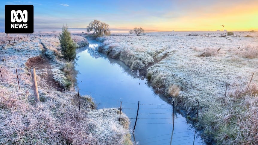 Frosts have arrived late in Queensland this year, and they're here to stay