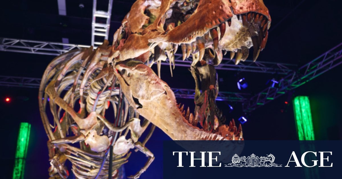 Got the holiday blues? See T. Rex bones, cuddle a cat or smash stuff