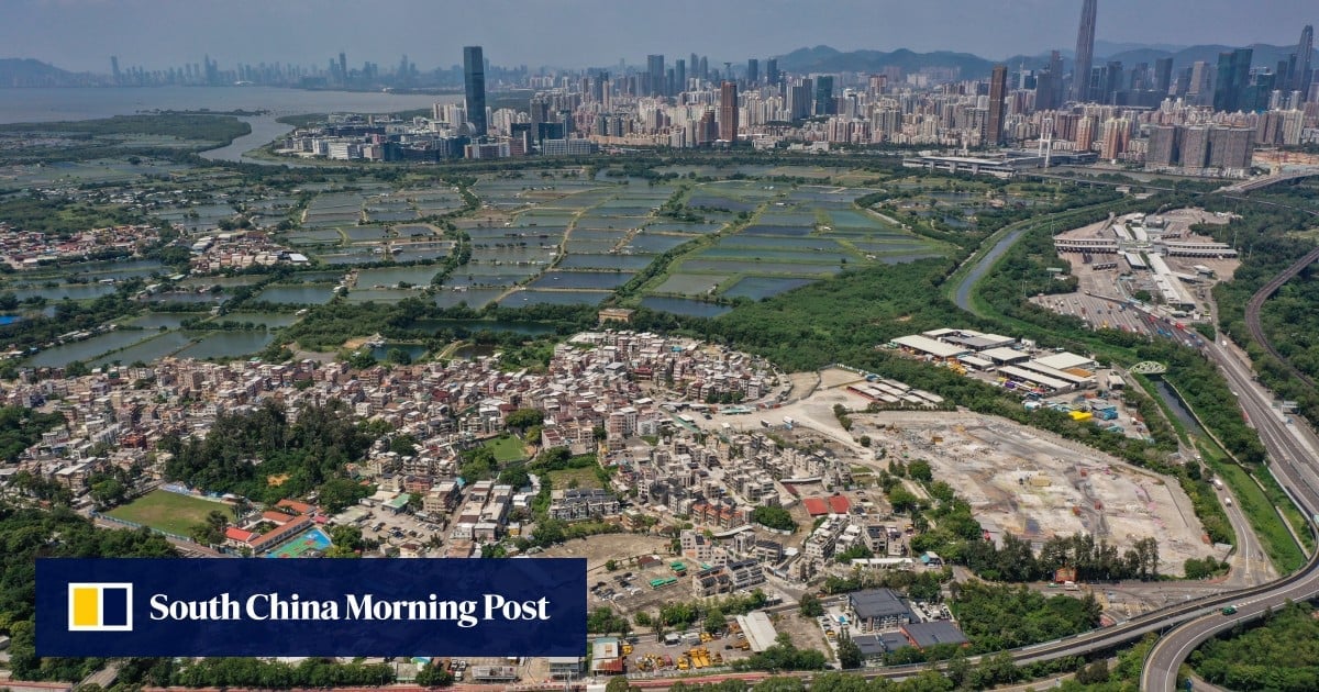 Greater Bay Area green groups warn Hong Kong technopole project will damage wetlands