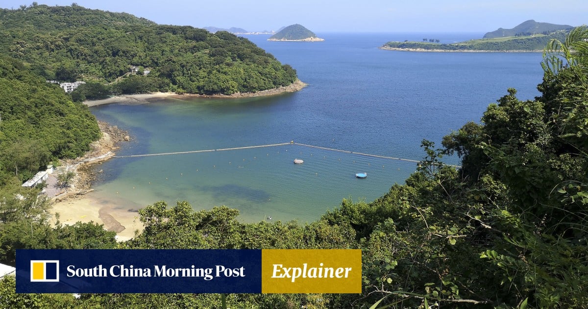 Hiking in Hong Kong: how to navigate the trails safely amid the summer heat