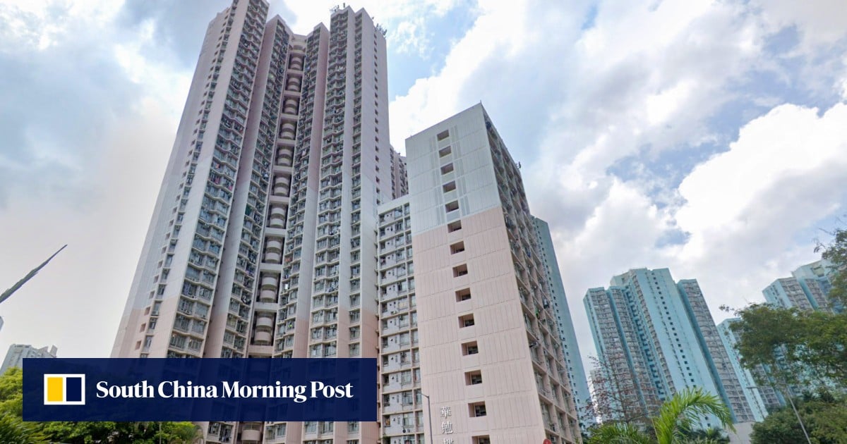 Hong Kong man arrested over alleged murder after girlfriend dies in Fanling domestic dispute