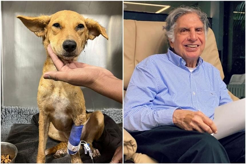 Indian tycoon Ratan Tata appeals for blood donations for sick puppy