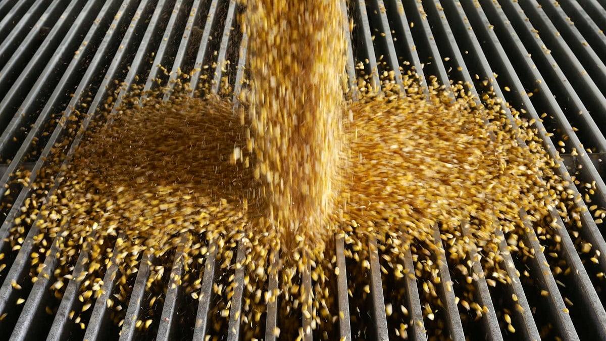 It's not just Big Oil. Here's why Big Corn is going after Joe Biden