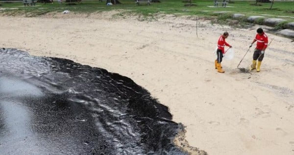 Large section of East Coast Park beachfront closed following oil spill; waters at Sentosa beaches remain closed