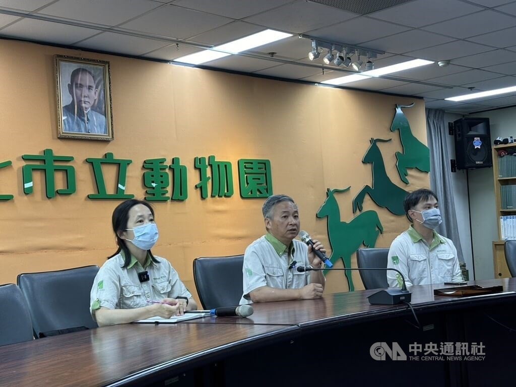 Malayan tapir that died in transit killed by heat stress: Taipei Zoo