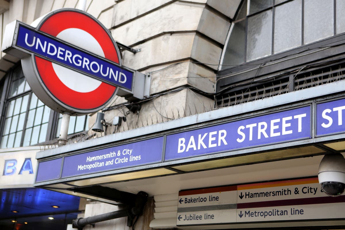 Mentally ill Tube pusher found not guilty over London Underground attacks by reason of insanity