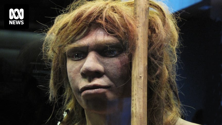 Neanderthal child with Down syndrome lived to age 6, inner ear fossil study suggests