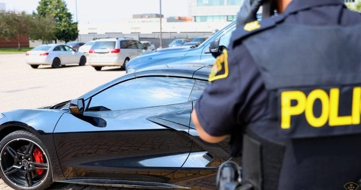 Nearly half of 124 arrested by Ontario carjacking task force were on bail: police