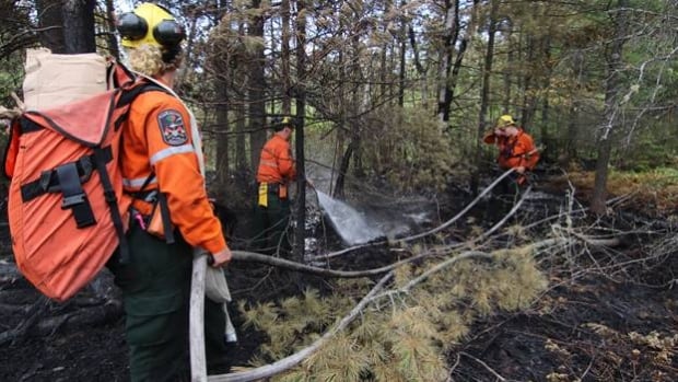 Ontario forest firefighters call for new job classification, better pay