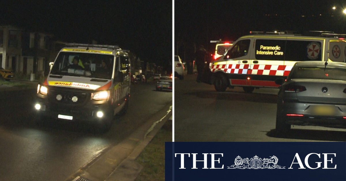Police searching for a driver over an alleged hit and run in Western Sydney