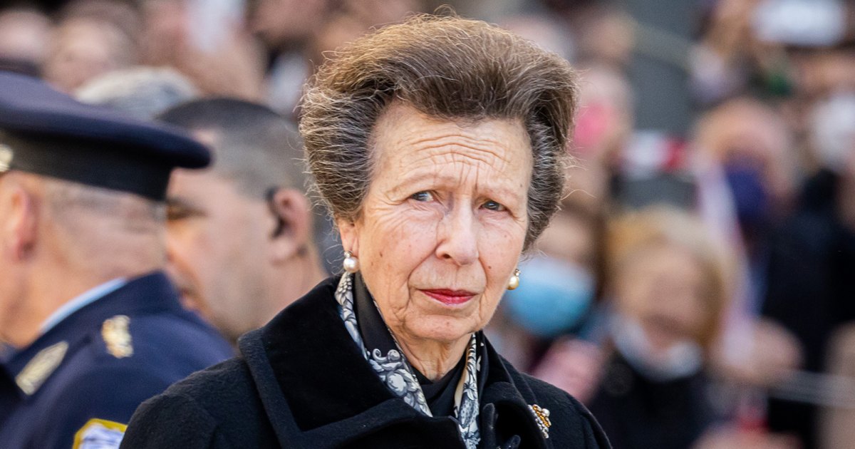 Princess Anne Hospitalized Following an 'Incident' at Her Home