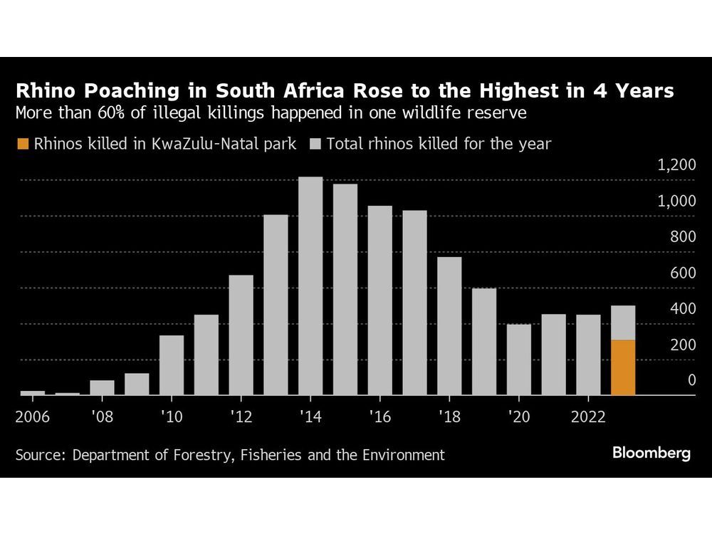 Radioactive Device on Rhino Horns Rolled Out to Fight Poaching