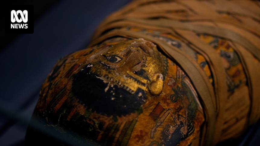 Should we display mummified remains? The conversation is changing