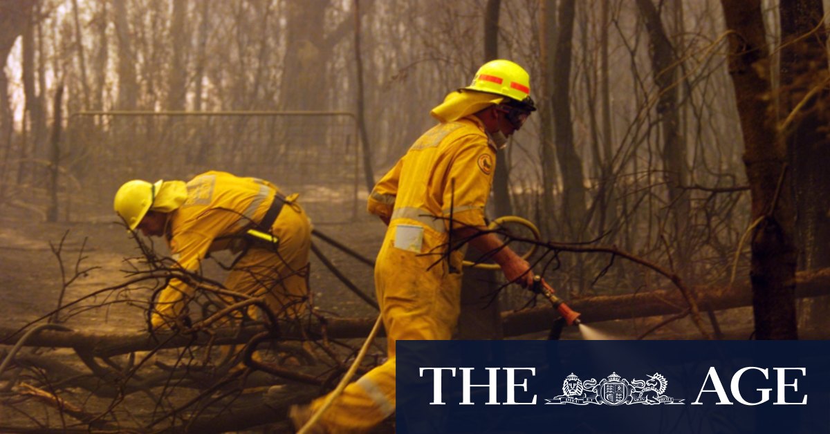 The smoke haze blanketing Brisbane this week began with a wet summer