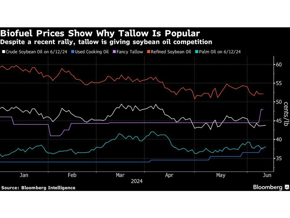 US Farmers Edged Out by Brazilian Beef Fat Destined for Biofuels