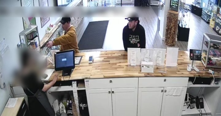 Video shows armed men robbing Edmonton restaurant and cannabis store