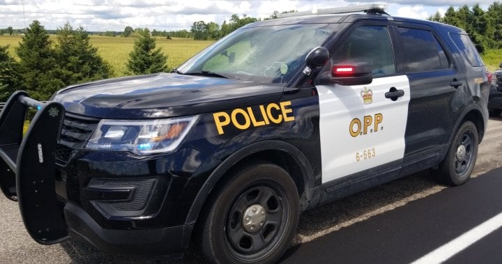 Wellington OPP charge 3rd person in ongoing homicide case