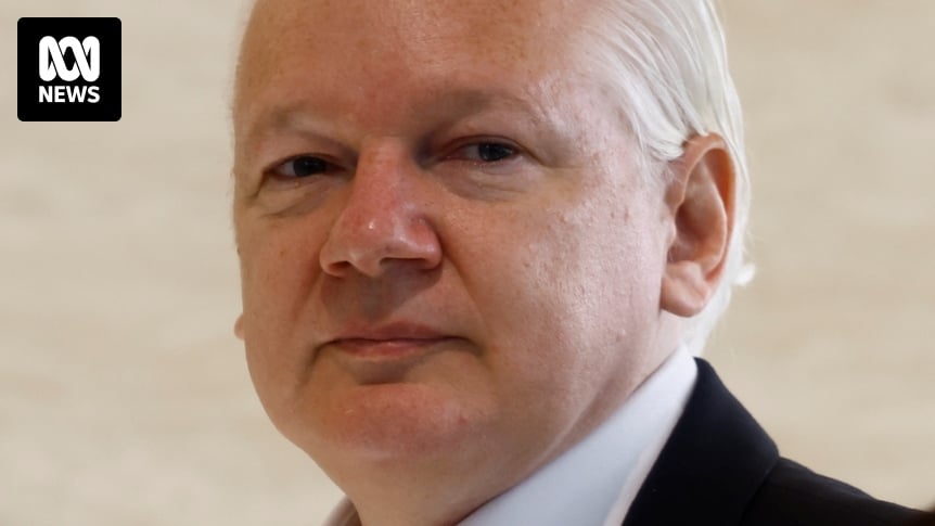 Who is Julian Assange and what exactly did he do?