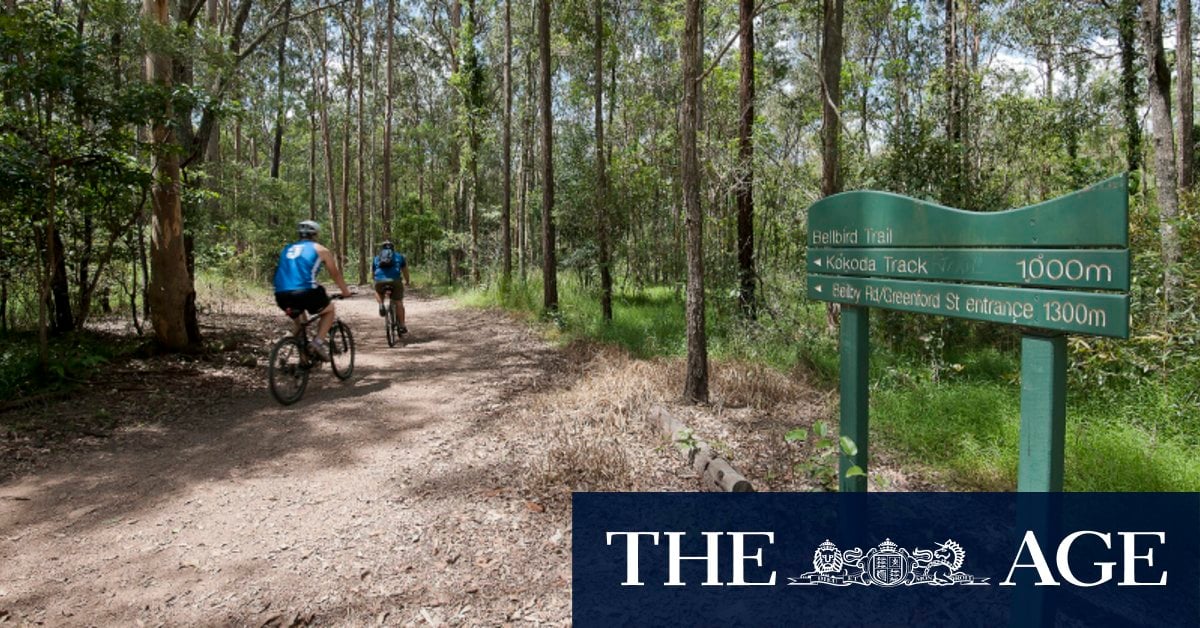 Women avoiding trails after new sighting of Mt Coot-tha attacker