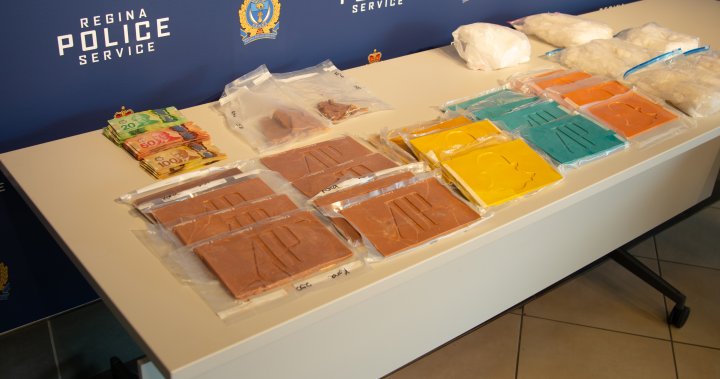 $1.3M Regina drug bust leads to arrest of man from India: police