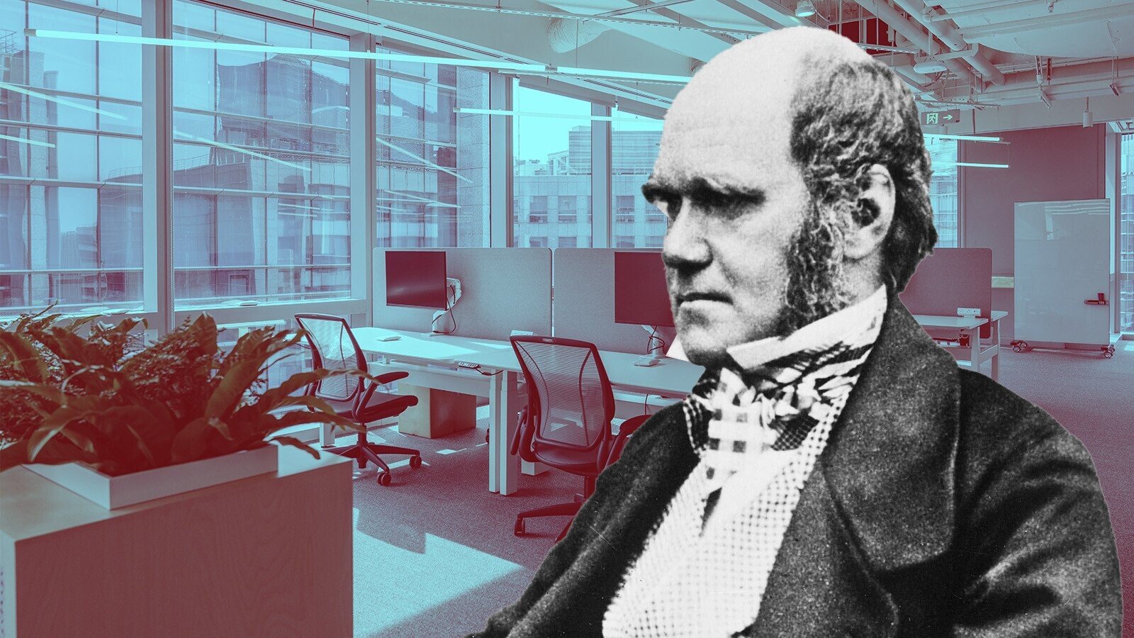When Charles Darwin Took a Break from Evolution to Reinvent the Modern Office