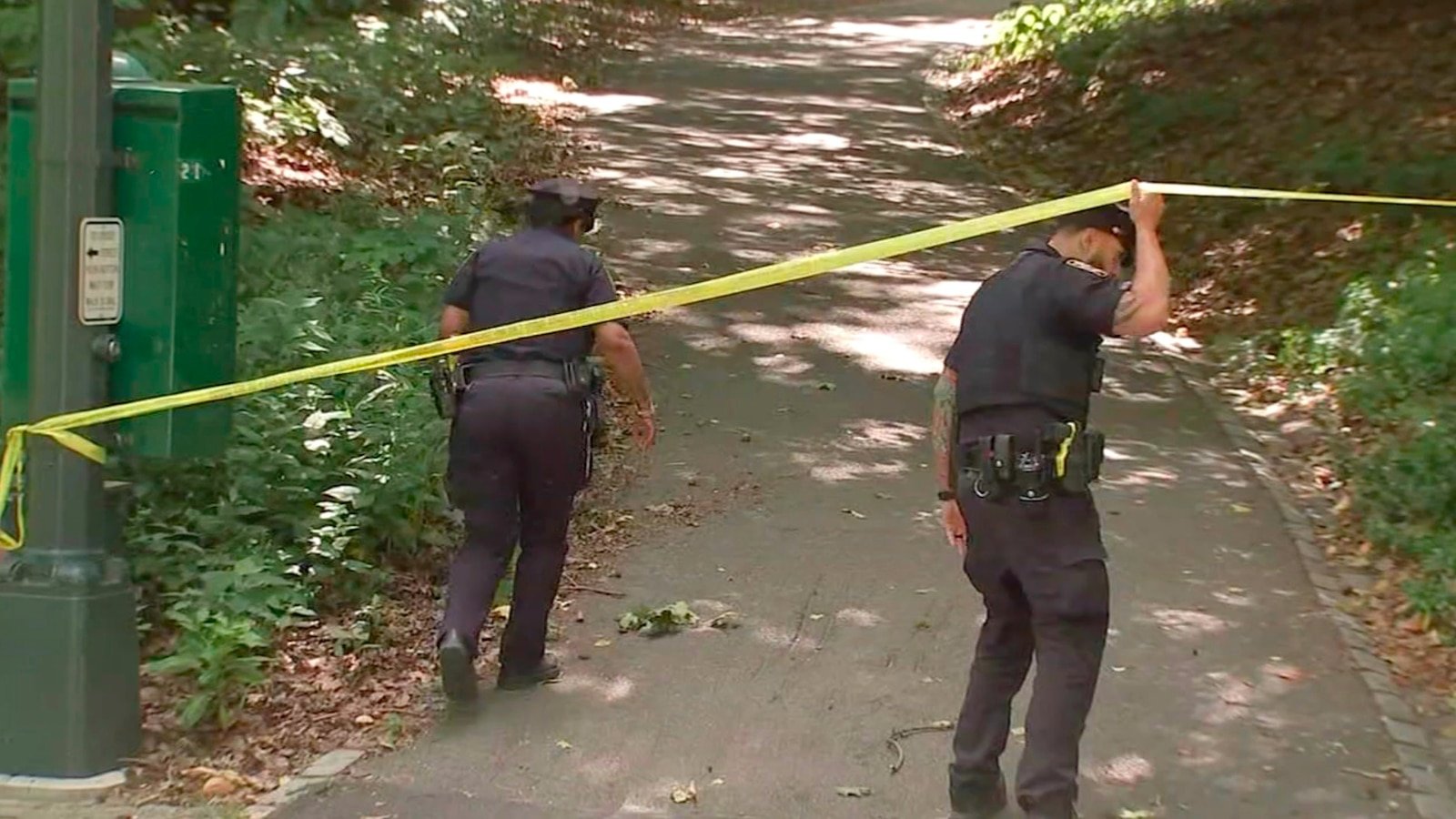 Person of interest in custody for attempted rape of Central Park sunbather: Sources