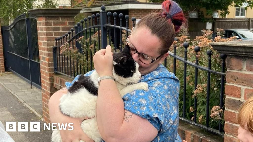 Family's lost cat found after five years