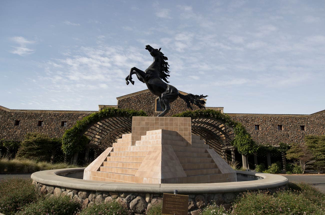 Black Stallion Estate Winery: A place to inspire and be inspired