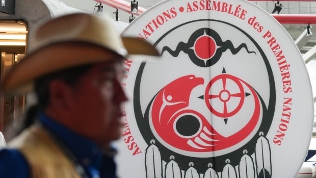 Probe of Assembly of First Nations finances finds no policy breaches, says confidential report