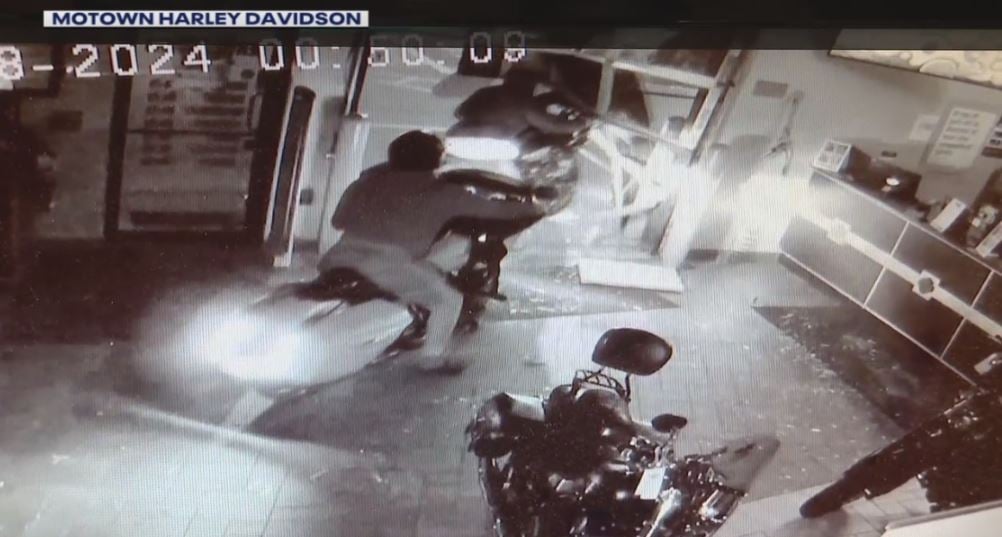 Over $100,000 in Harley Davidson bikes stolen as thieves crash through Taylor store