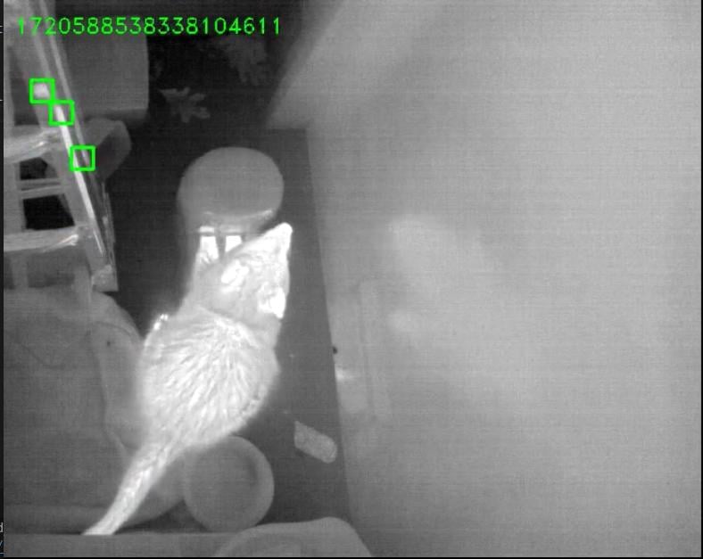 Using OpenCV To Catch a Hungry Thief