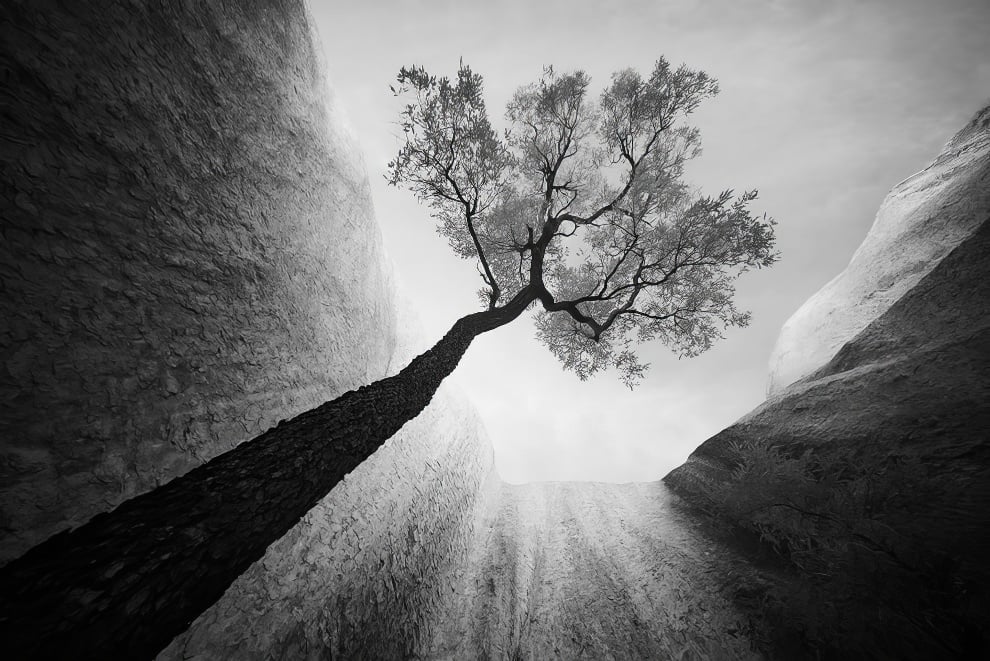 Spectacular Landscape-Winning Photos From The Monochrome Photography Awards