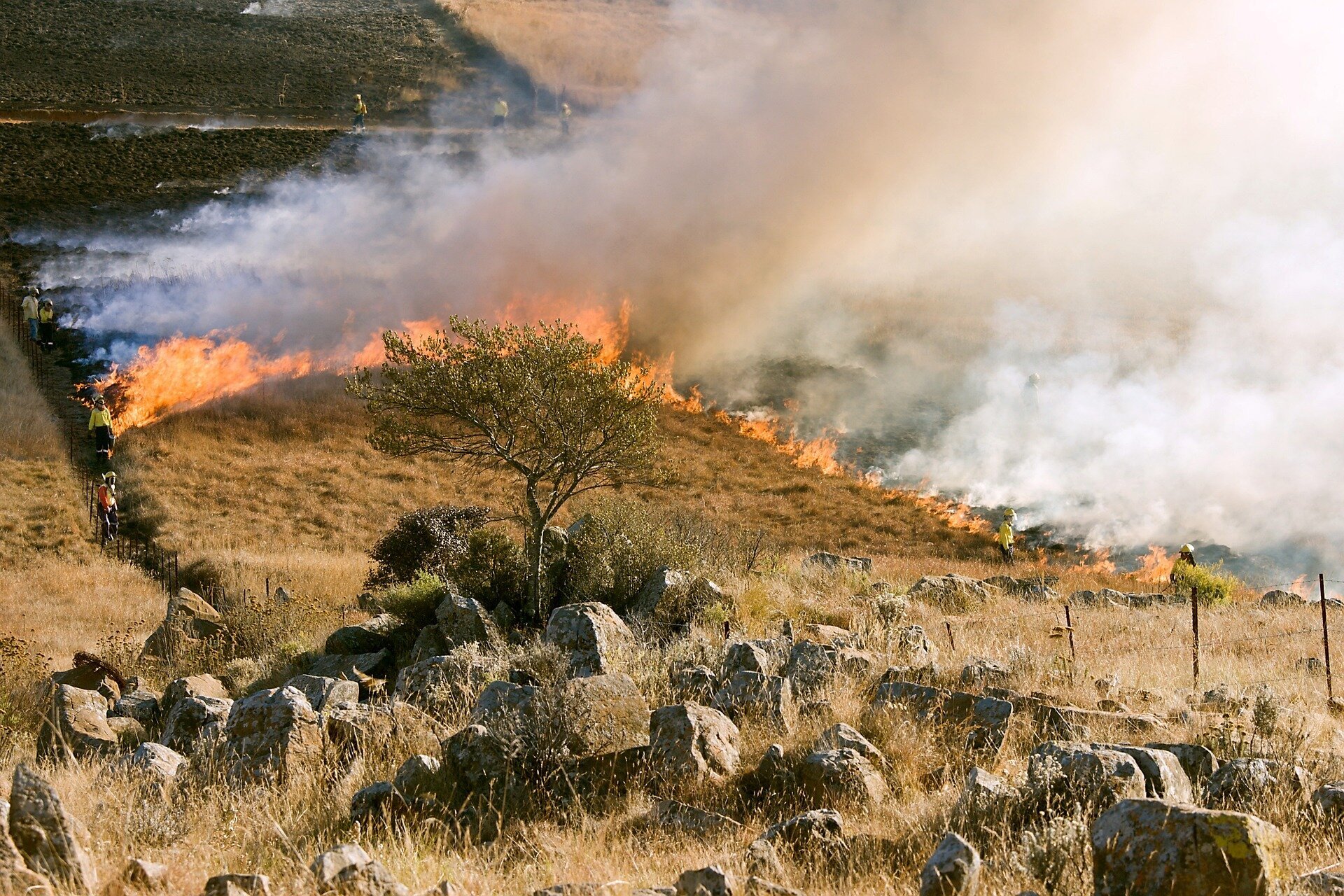 Wildfires in South Africa are set to increase: How legal action can help the country adapt better to climate change