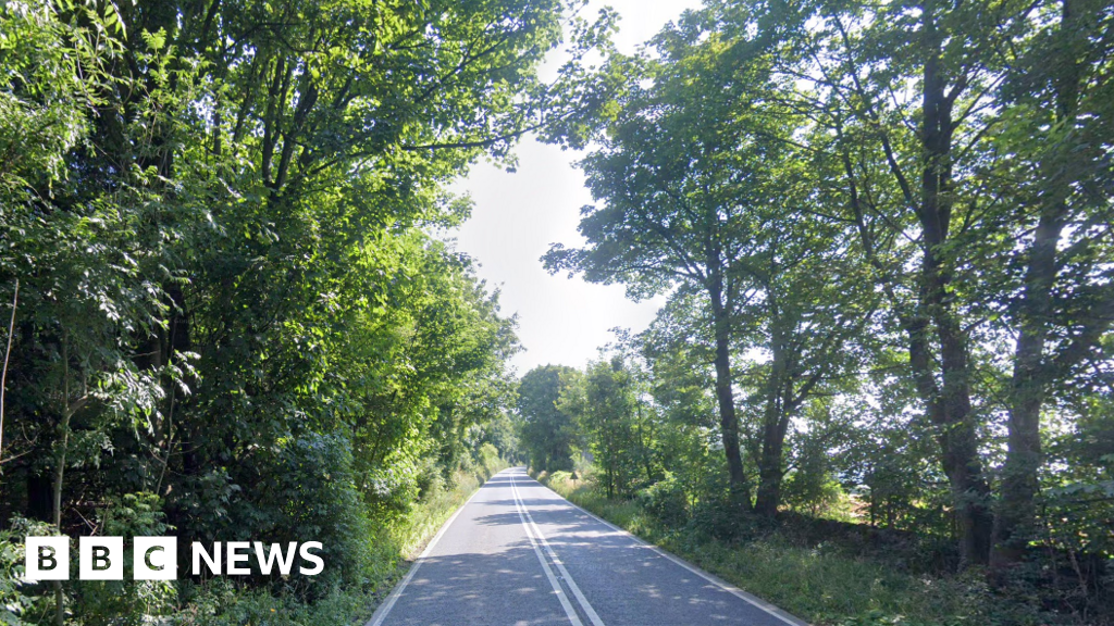 Four dead after car crashes into tree