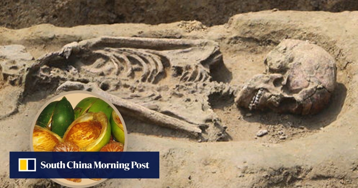 2,500-year-old Taiwan human skeletons indicate indigenous tribes on island chewed betel nuts