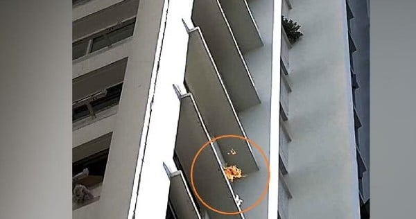 2 flat owners fined $700 each for high-rise littering under presumption of guilt clause