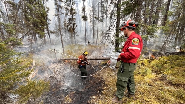 2 large fires near Manitoba border among 7 new forest fires in northwestern Ontario