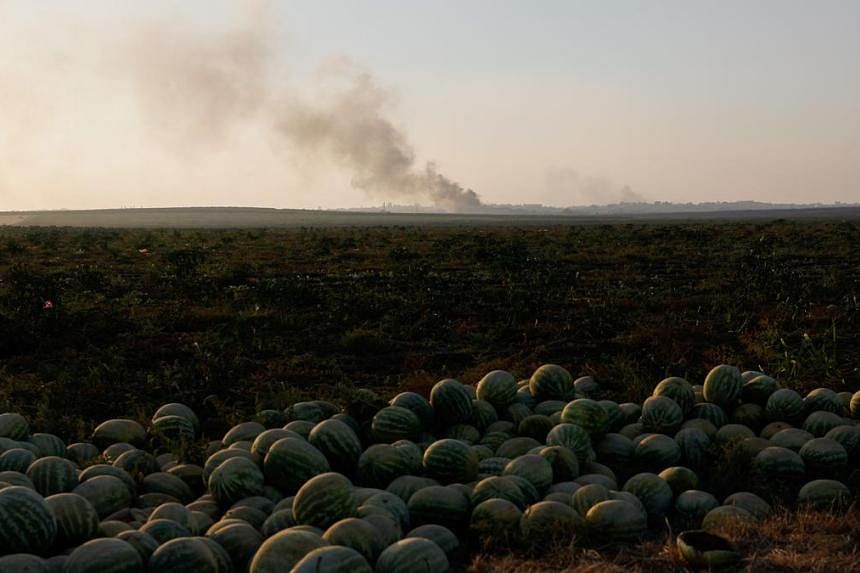 At least 17 Palestinians killed in Israeli strikes on Gaza overnight, officials say