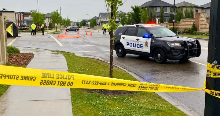 Charges laid in south Edmonton pedestrian collision that killed 3-year-old boy