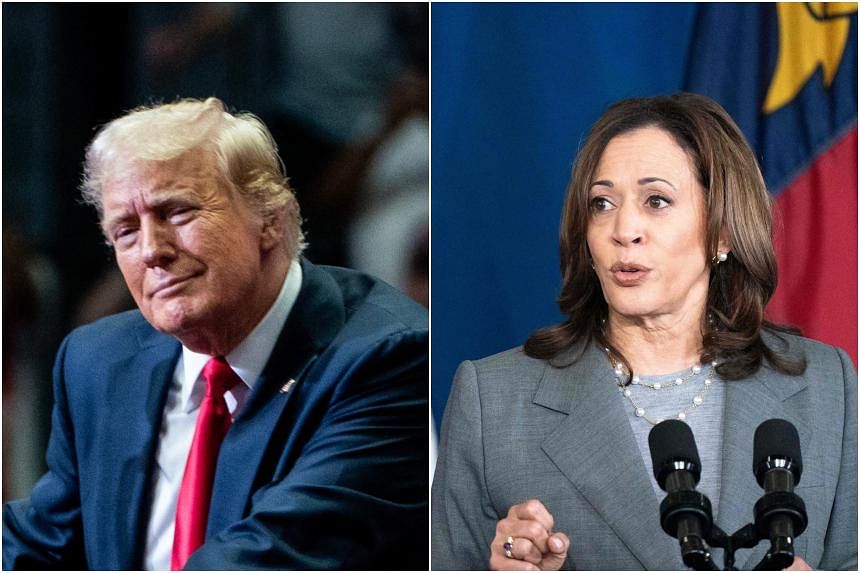 China social media embraces Trump after Harris steps into race