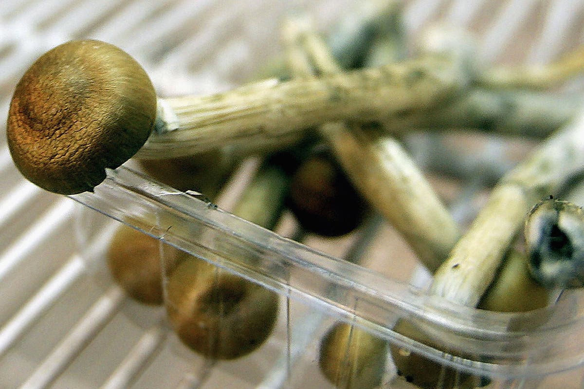 City of London police officer quits after calling 999 while high on magic mushrooms