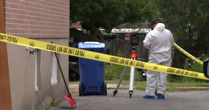 Community shocked by apparent murder in central Kingston