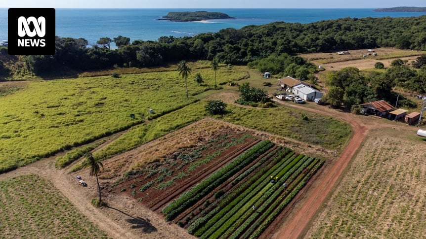 Could this farm in Arnhem Land help other remote communities grow their own food and eat healthy?