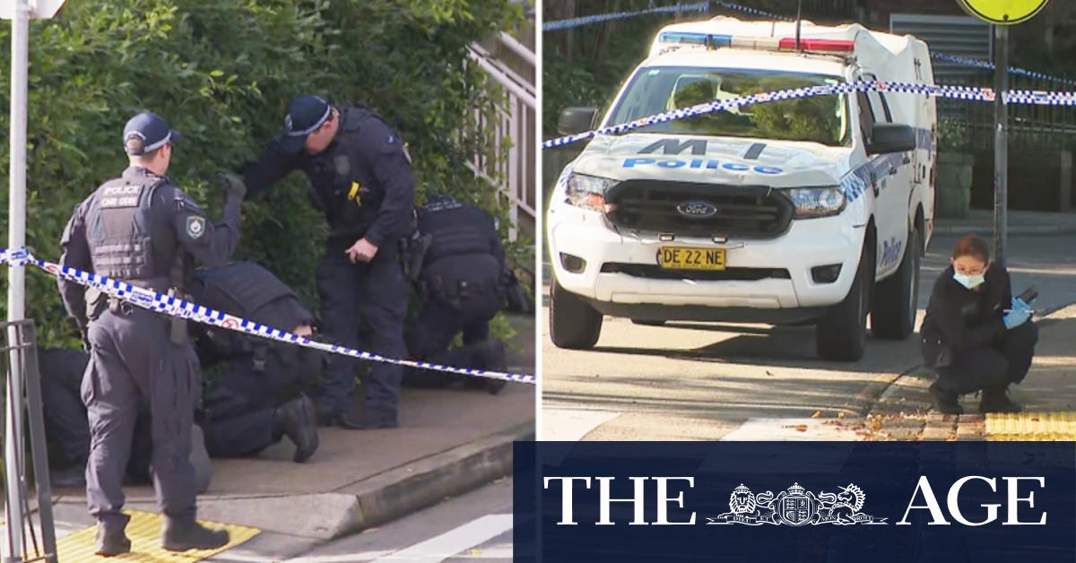 Counter-terror police investigate alleged university stabbing 