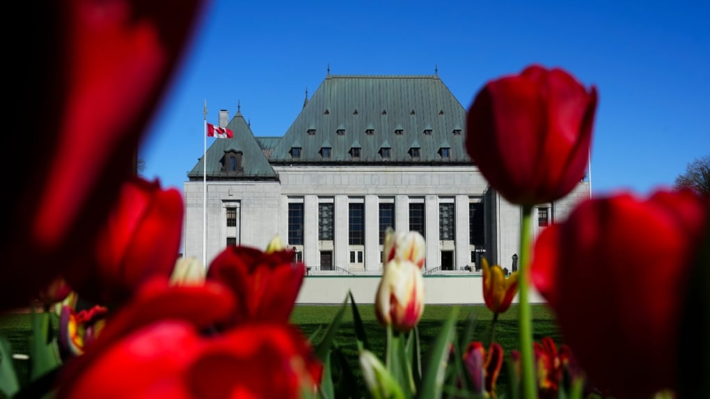 Crown must settle with First Nations for breaching Robinson treaties: Supreme Court
