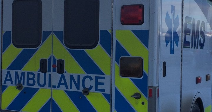 Deadly assault of woman in south Edmonton prompts police investigation